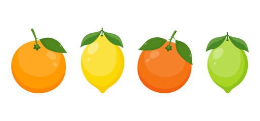 Big vector set of citrus fruits. Orange,lemon,grapefruit, and lime icons on white background. Vector illustration