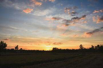 Fototapeta premium Evening sunset and shadows of trees