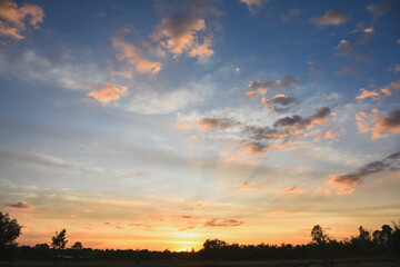 Evening sunset and shadows of trees
