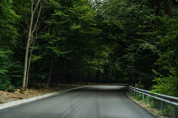 Road in the Caucasus mountains of Georgia