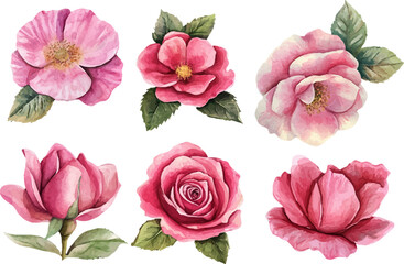 watercolor set of flowers