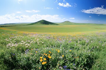Beautiful spring landscape with green grass and colorful wildflowers in the field under a blue sky with sun rays, captured with a wide-angle lens.