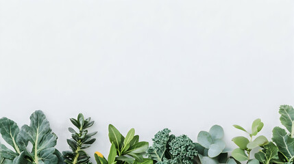 Green leaves border on white background; healthy eating concept; blog, website, recipe header
