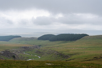 Naklejka premium River in canyon Tedjisi in Georgia
