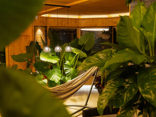 Warm and inviting green sanctuary filled with lush tropical houseplants, illuminated by stylish...