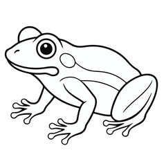 vector frog line art free download 