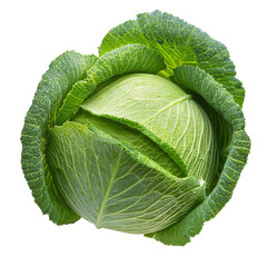 Fototapeta premium Fresh green cabbage with water drops on transparent background