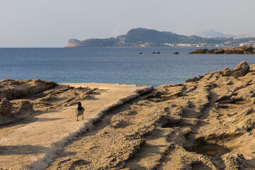 Sunset on the beautiful Oasis beach on the island of Rhodes in Greece. Seascape