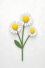Obraz premium Three Daisies on a White Background Minimalist Floral Artwork Design
