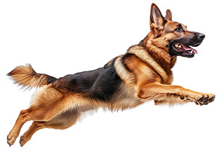 Joyful German Shepherd Jumping isolated on transparent background