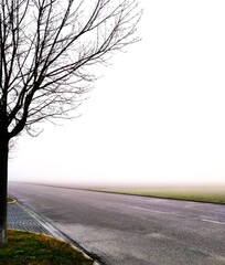 Fototapeta premium Nebel