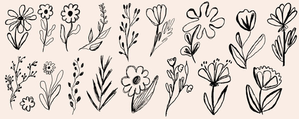  vector set of doodle hand drawn flowers. . Vector illustration