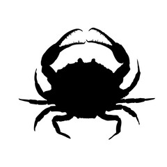 crab silhouette - vector illustration