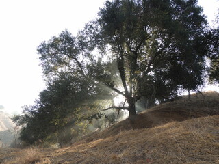 A wonderful morning light show.