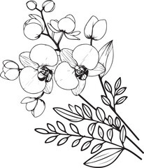 Coloring page vector sketch of Orchid flowers, Orchid flower line drawings, hand-painted calla flower wall art, botanical Orchid flower wall art, simple Orchid flower drawings, Orchid outline drawing