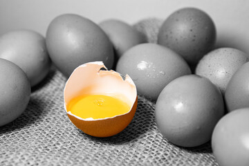 Egg with yolk. Advertising eggs for a recipe. Macro photo with space for advertising text