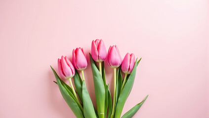 nternational Women's Day background design featuring fresh pink tulips on a soft pastel backdrop for delicate and nature-inspired celebration themes, posters, or cards