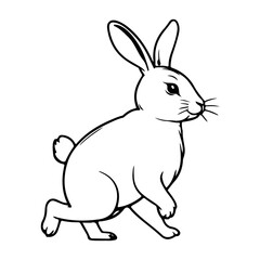 Obraz premium rabbit icon line vector design
