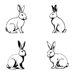 rabbit icon line vector design