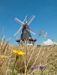 Die Windmühle in Sønderho, Fanø, Dänemark, eingebettet in ein Meer von bunten Sommerblumen,...