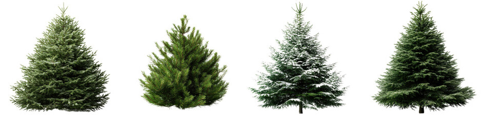 Group of frost-covered trees in a winter landscape with snow on the ground and clear blue sky isolated on a white background