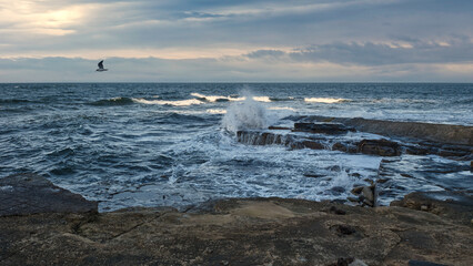 The serene beauty of the Moray Firth's rocky coastline in Scotland