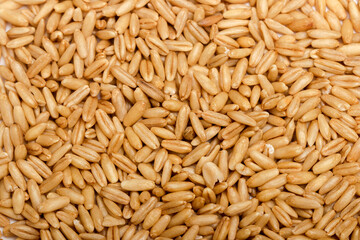 dried organic whole grain oats