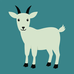  Pygmy Goat vector illustration