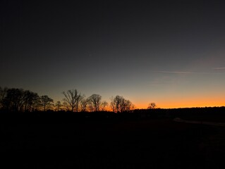 Silhouetted Trees at Vibrant Sunset Horizon
