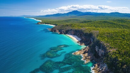 Fototapeta premium Aerial View of Secluded Tropical Beach and Lush Coastline