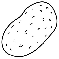 Elegant Potato Line Art Illustration