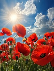 Obraz premium Fields of vibrant red poppies bloom under a bright sun in a clear blue sky during springtime. Generative AI
