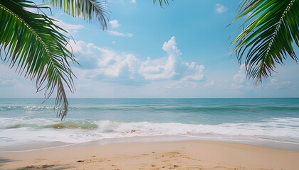 Palm tree on tropical beach with blue sky and white clouds abstract background