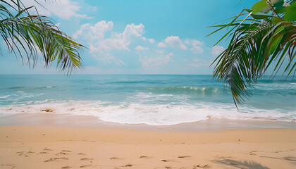 Palm tree on tropical beach with blue sky and white clouds abstract background