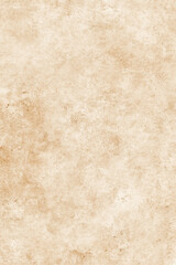 close up of a white and brown fur texture