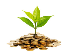 A thriving, vibrant green plant sprouting from a mound of gold and silver coins isolated on transparent background.