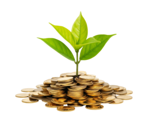 A thriving, vibrant green plant sprouting from a mound of gold and silver coins isolated on transparent background.