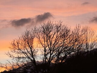 Fototapeta premium Silhouetted trees against vibrant sunset sky with clouds