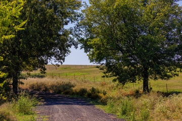 Rural countryside landscape a gravel road leads through.
