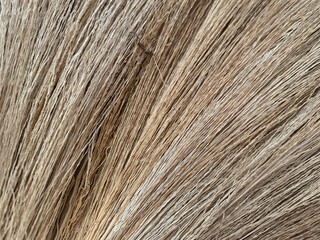 brown gold Broom, dry straw texture strip line gradient background