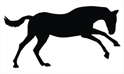 Obraz premium horse silhouette vector