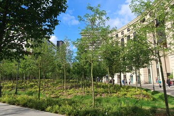 Panorama sur les arbres de la forêt urbaine de la place de Catalogne, îlot de verdure en centre...
