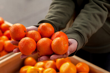 Tangerines at the fruit and vegetable market.