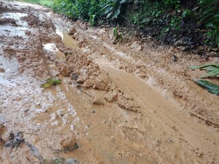 Majestic Landscapes of Sri Lanka. Breathtaking Beauty Capturing the Serene Essence of Nature in Stunning Landscapes. A Journey Through Picturesque Nature Landscapes. The beauty of Nature’s Landscape