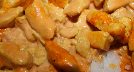 chicken stroganoff with rice. meal details. closeup on food.