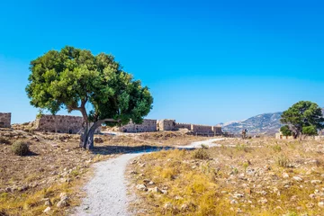 Fototapete Rund Mediterranes Europa Olive tree in Antimachia Castle in Antimachia village, Kos island, Greece  © Anyarnia