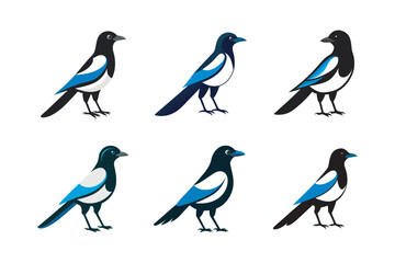 Cute Magpie Birds Illustration Bundle highlights the beauty and playful character of these striking birds, adding a touch of elegance and whimsy to your artwork.