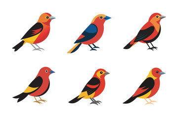 Fototapeta premium Cute Tanager Birds Illustration Bundle. beauty of these tropical birds, offering versatile and eye-catching elements for your artwork.