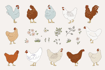 Set of cute farm birds, hen, chicken, rooster clipart, flowers and floral branches. Farm spring clipart, easter hand drawn clipart
