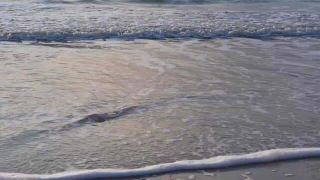 seascape at the beach during sunset